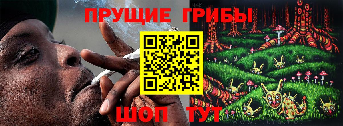Галлюциногенные грибы мухоморы Сальск