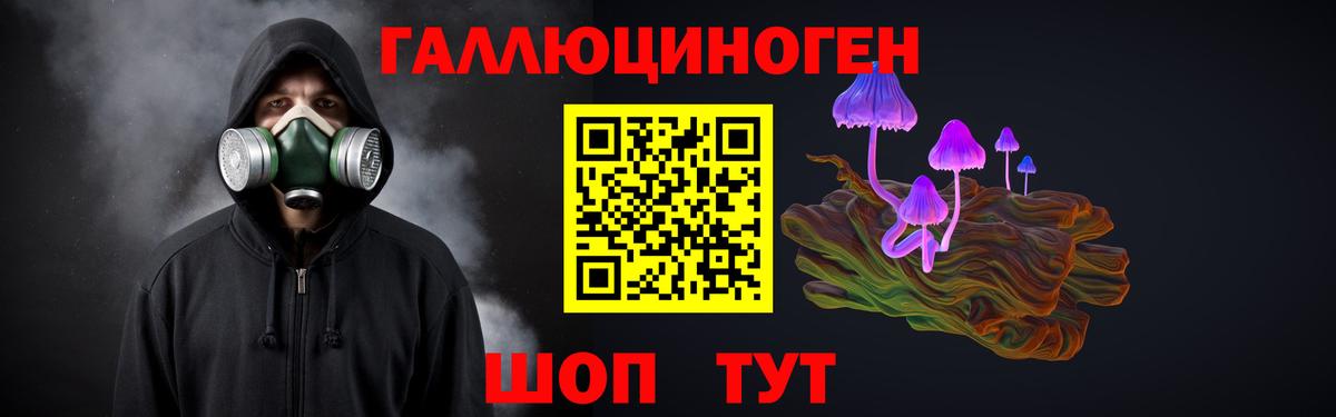 Псилоцибиновые грибы Psilocybine cubensis  Вход с VPN  Сальск  Псилоцибиновые грибы MAGIC MUSHROOMS 
